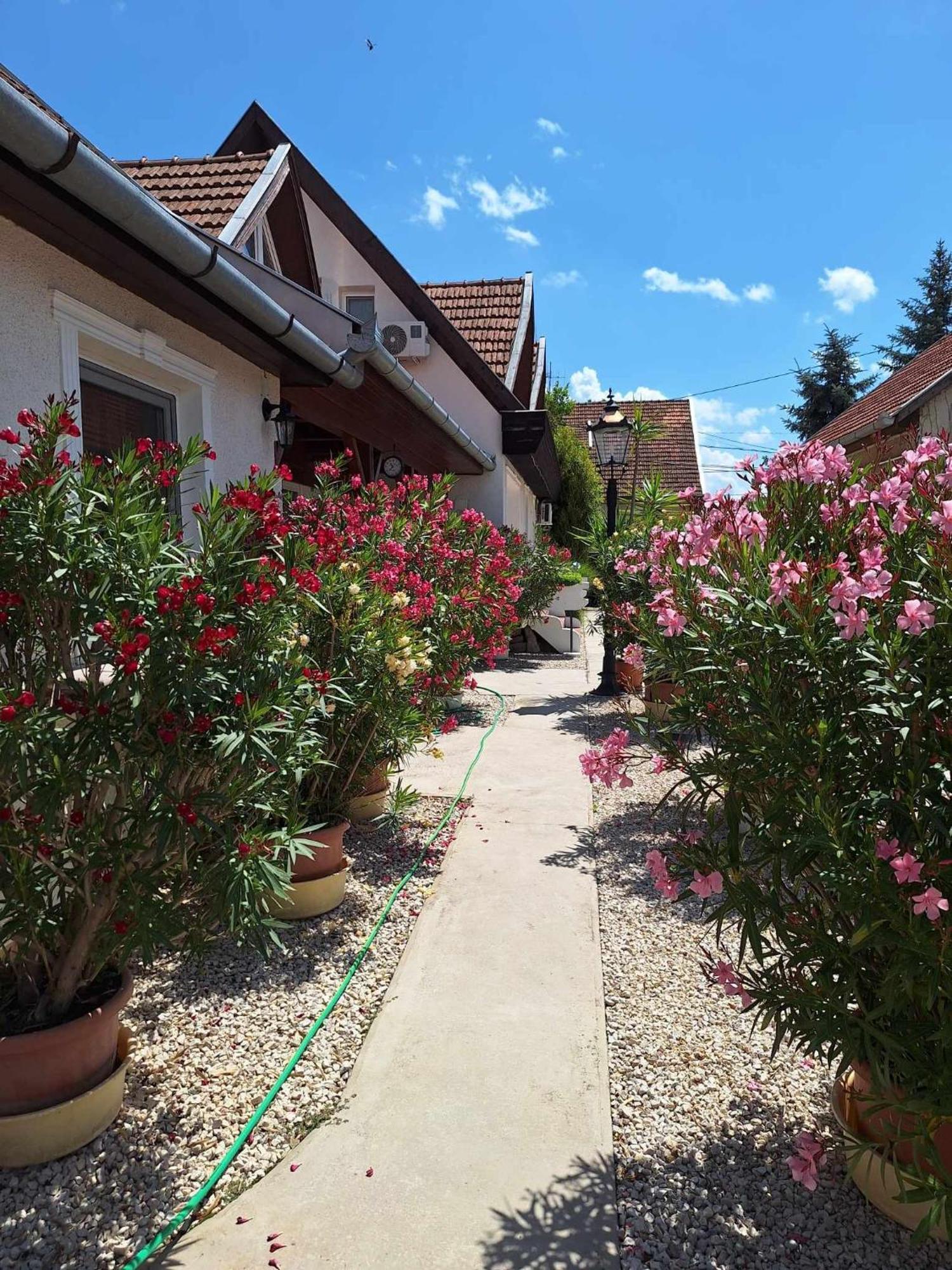 Apartmán Teodor *